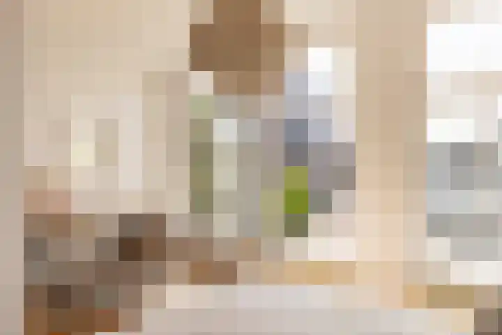 Nieuwe Prinsengracht 98 4 Amsterdam thumbnail 16