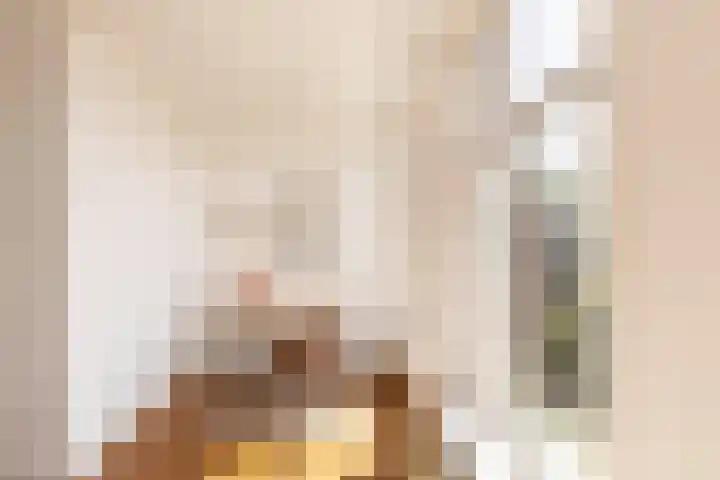 Nieuwe Prinsengracht 98 4 Amsterdam thumbnail 17