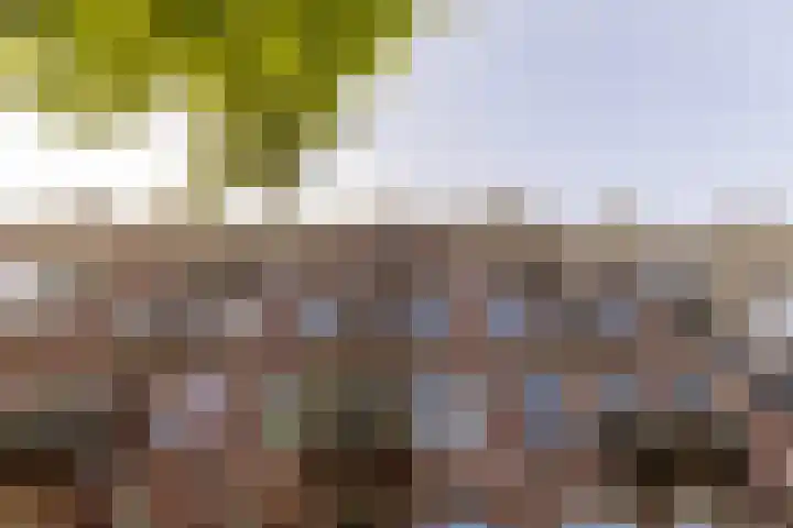 Nieuwe Prinsengracht 98 4 Amsterdam thumbnail 22