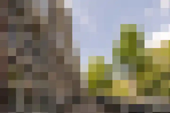 Nieuwe Prinsengracht 98 4 Amsterdam thumbnail 23