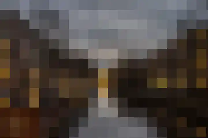Nieuwe Prinsengracht 98 4 Amsterdam thumbnail 32