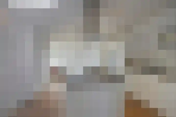 Nieuwe Prinsengracht 98 4 Amsterdam thumbnail 4