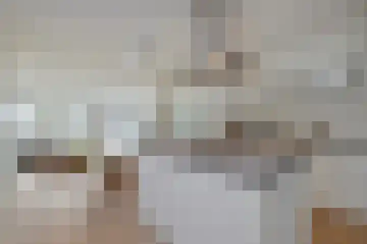 Nieuwe Prinsengracht 98 4 Amsterdam thumbnail 6