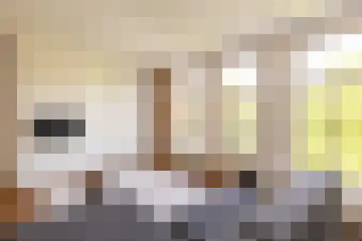 Nieuwe Prinsengracht 98 4 Amsterdam thumbnail 6