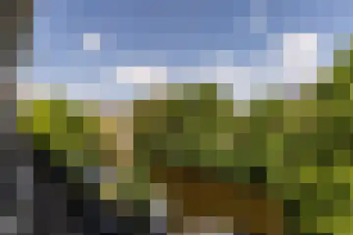 Nieuwe Prinsengracht 98 4 Amsterdam thumbnail 8