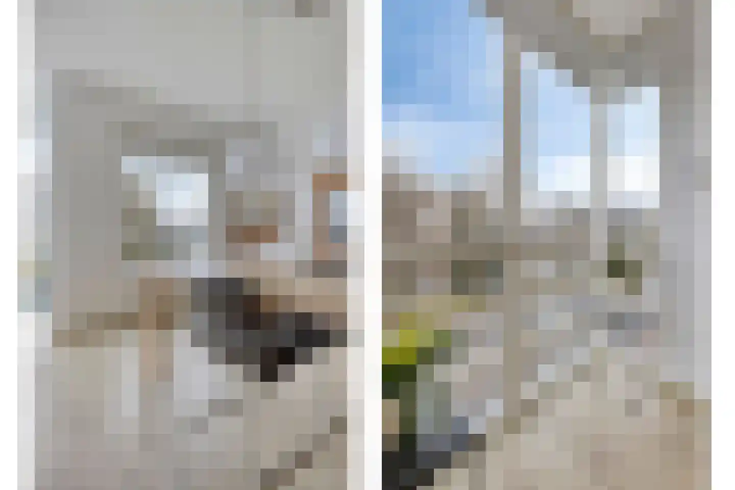 Nieuwe Prinsenkade 44 Breda thumbnail 14