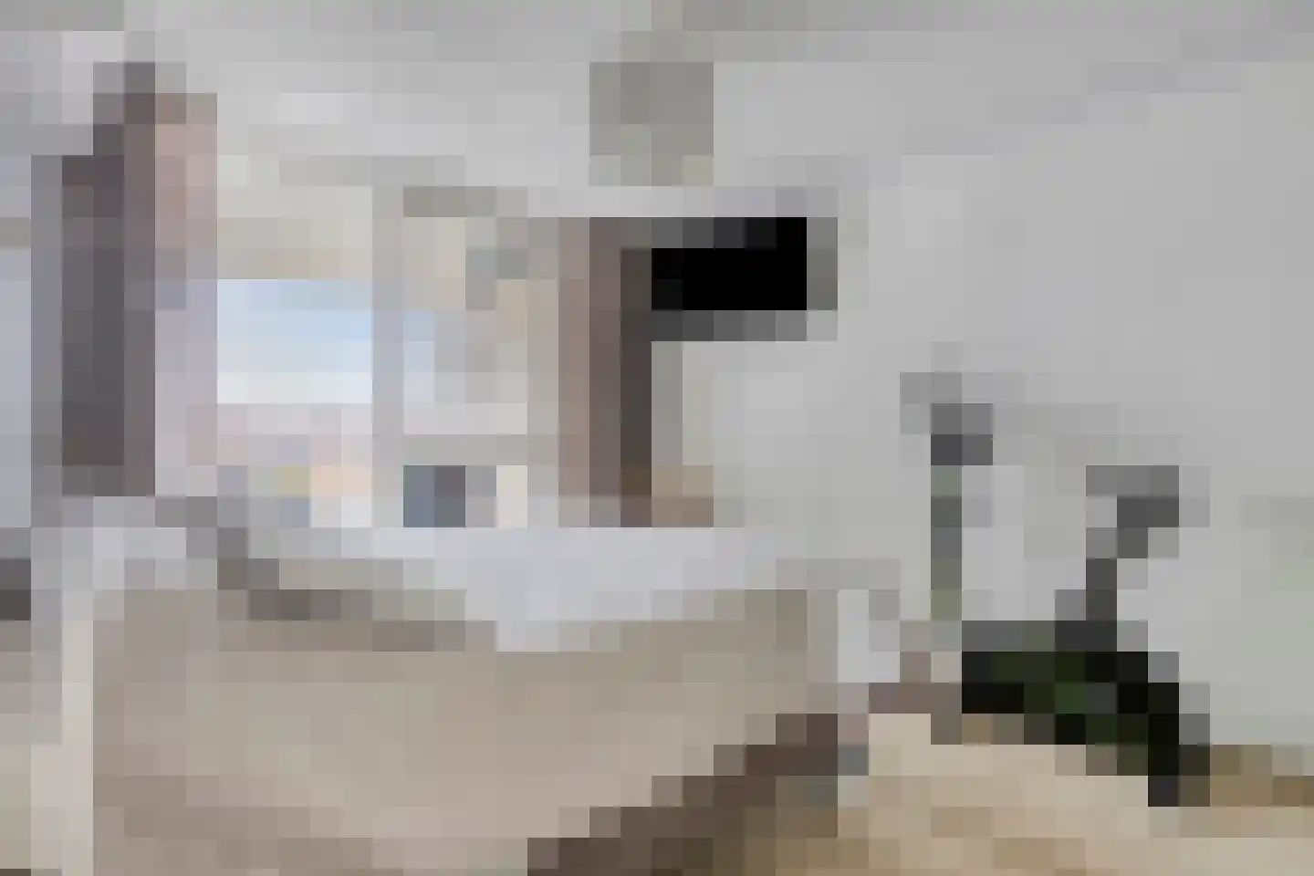 Nieuwe Prinsenkade 44 Breda thumbnail 19
