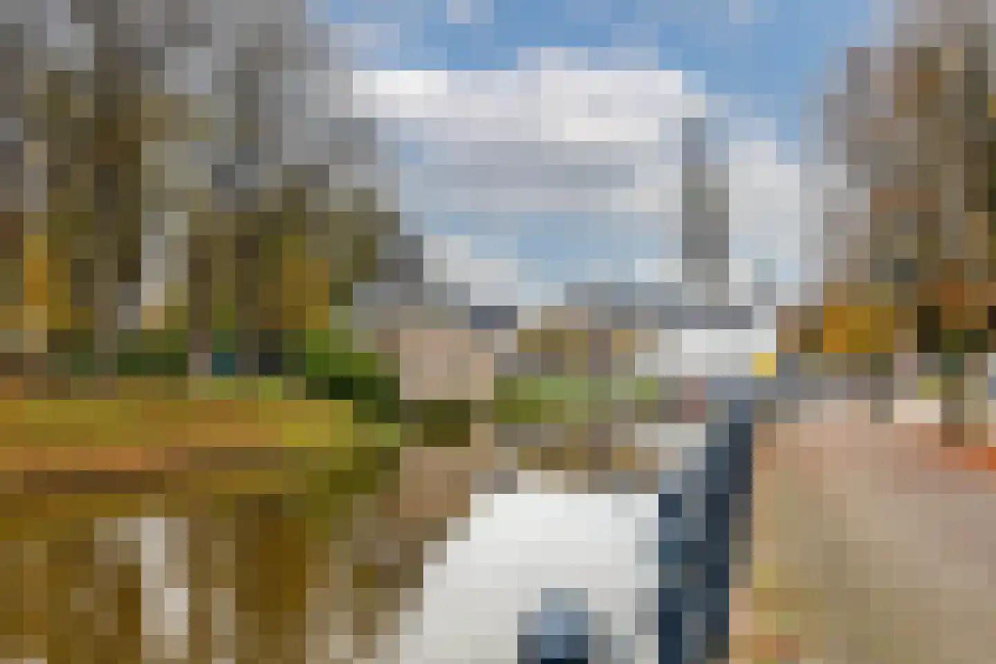 Nieuwe Prinsenkade 44 Breda foto 3