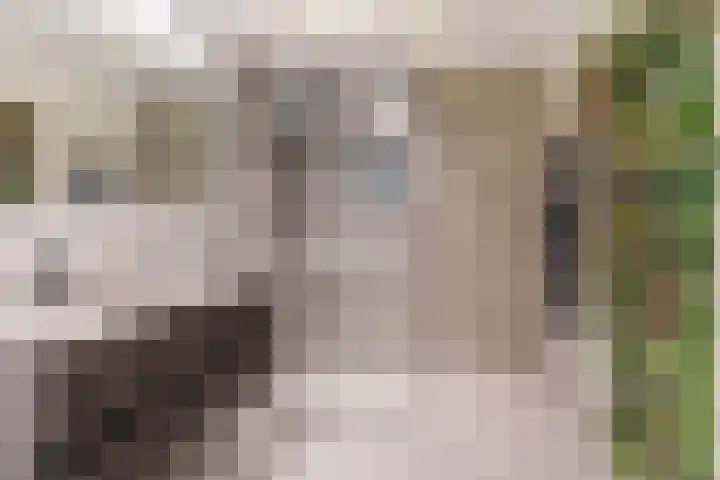 Nieuwe Prinsenkade 49 Breda thumbnail 20