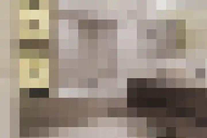 Nieuwe Prinsenkade 49 Breda thumbnail 21
