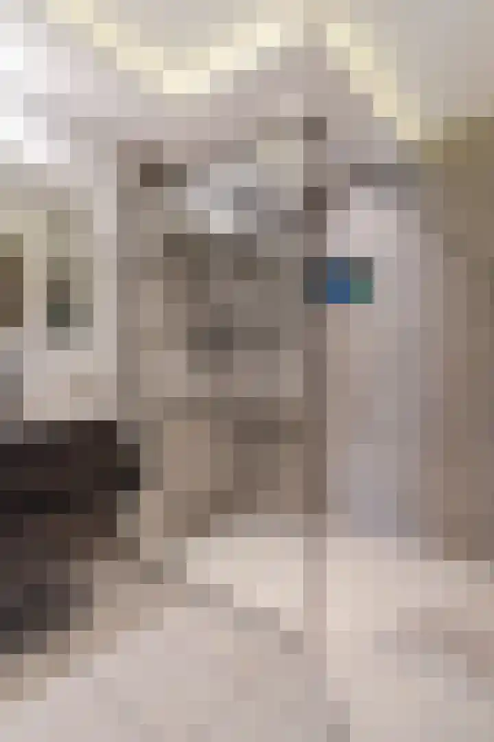 Nieuwe Prinsenkade 49 Breda thumbnail 22
