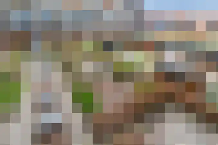 Nieuwe Prinsenkade 49 Breda thumbnail 27