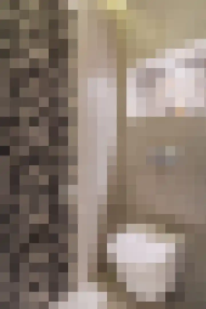 Nieuwe Prinsenkade 49 Breda thumbnail 6