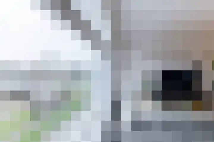Nieuwe Prinsenkade 51 Breda thumbnail 14