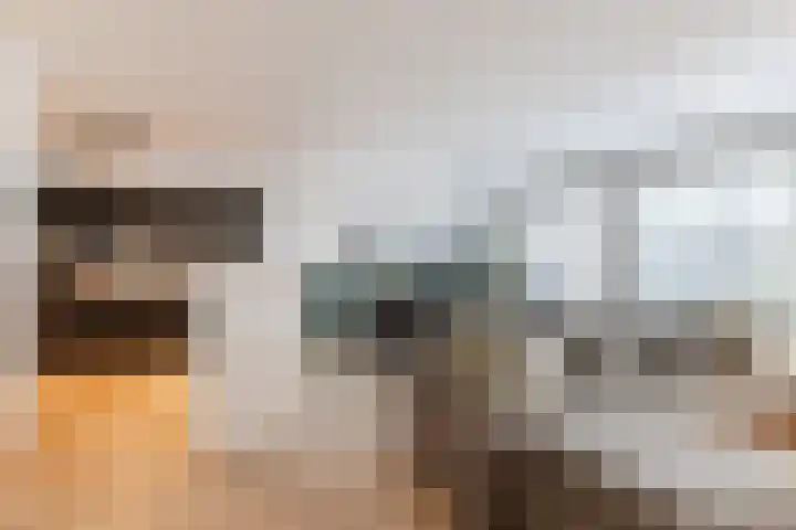 Nieuwe Prinsenkade 51 Breda thumbnail 8