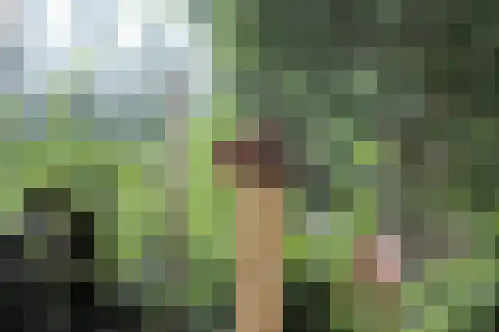 Nieuwe Prinsenweg 7 18 Putten thumbnail 11