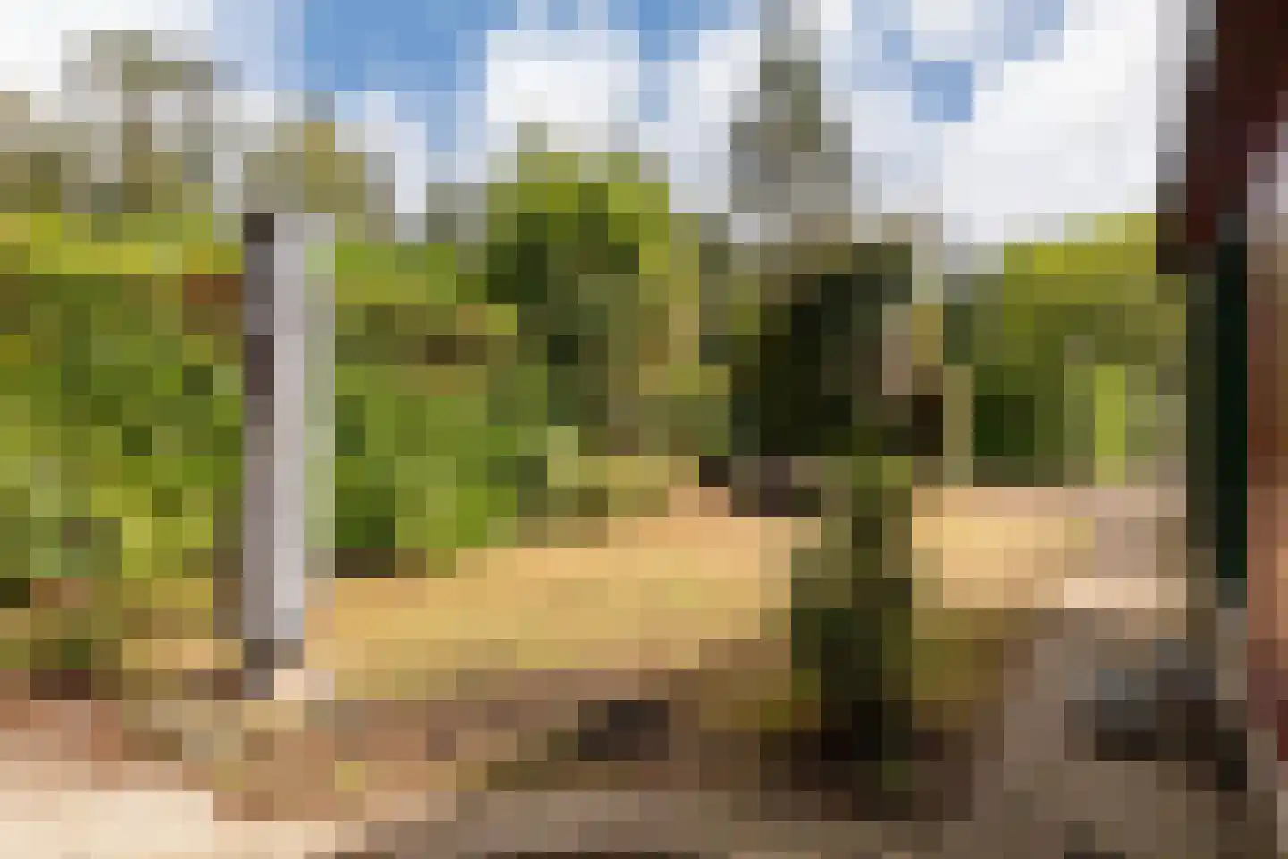 Nieuwe Prinsenweg 7 25 Putten thumbnail 7