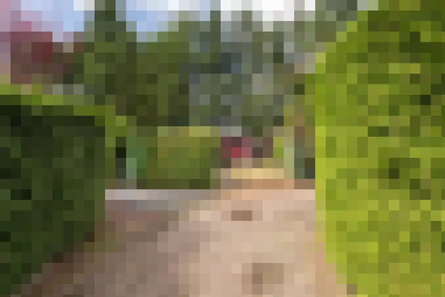 Nieuwe Prinsenweg 7 25 Putten thumbnail 8