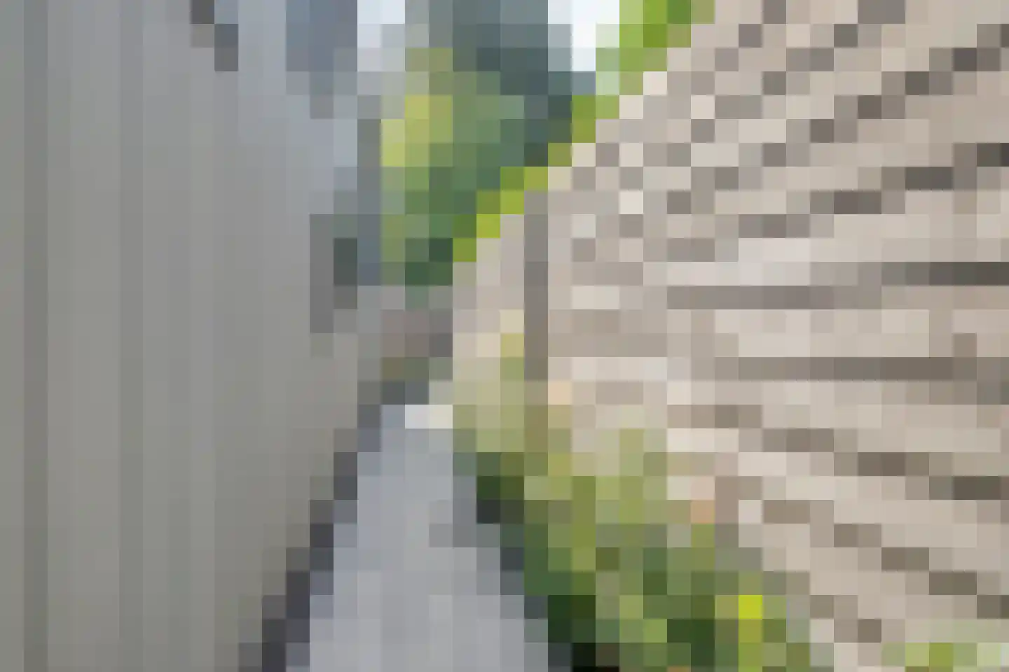 Nieuwe Prinsenweg 7 38 Putten thumbnail 22