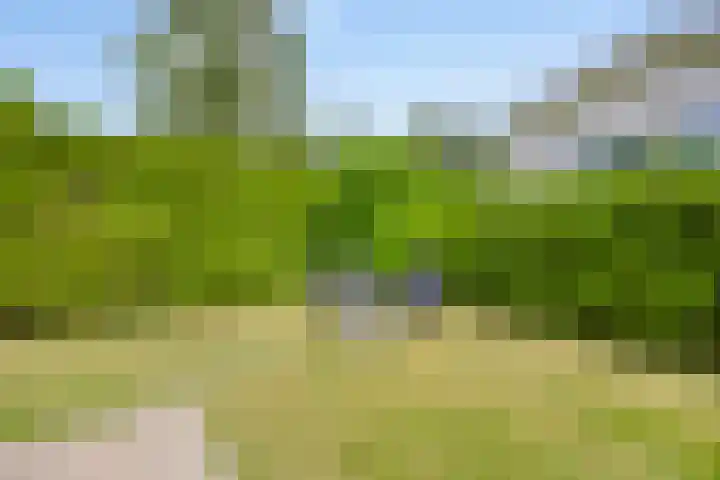 Nieuwe Prinsenweg 7 39 Putten thumbnail 4