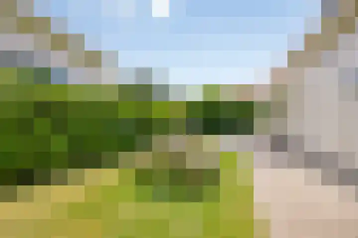 Nieuwe Prinsenweg 7 39 Putten thumbnail 5