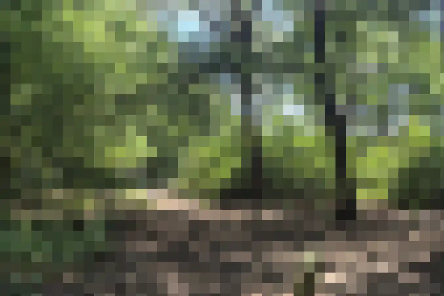 Nieuwe Prinsenweg 7 39A Putten thumbnail 24