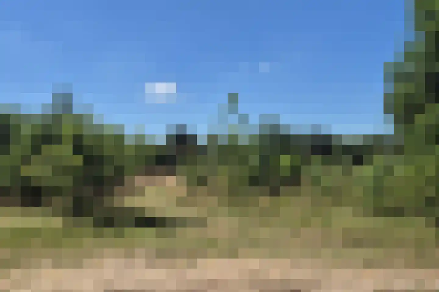 Nieuwe Prinsenweg 7 39A Putten thumbnail 25