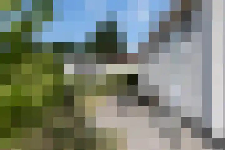 Nieuwe Prinsenweg 7 39A Putten thumbnail 4