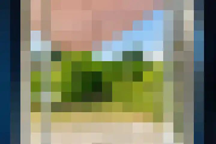 Nieuwe Prinsenweg 7 39A Putten thumbnail 7