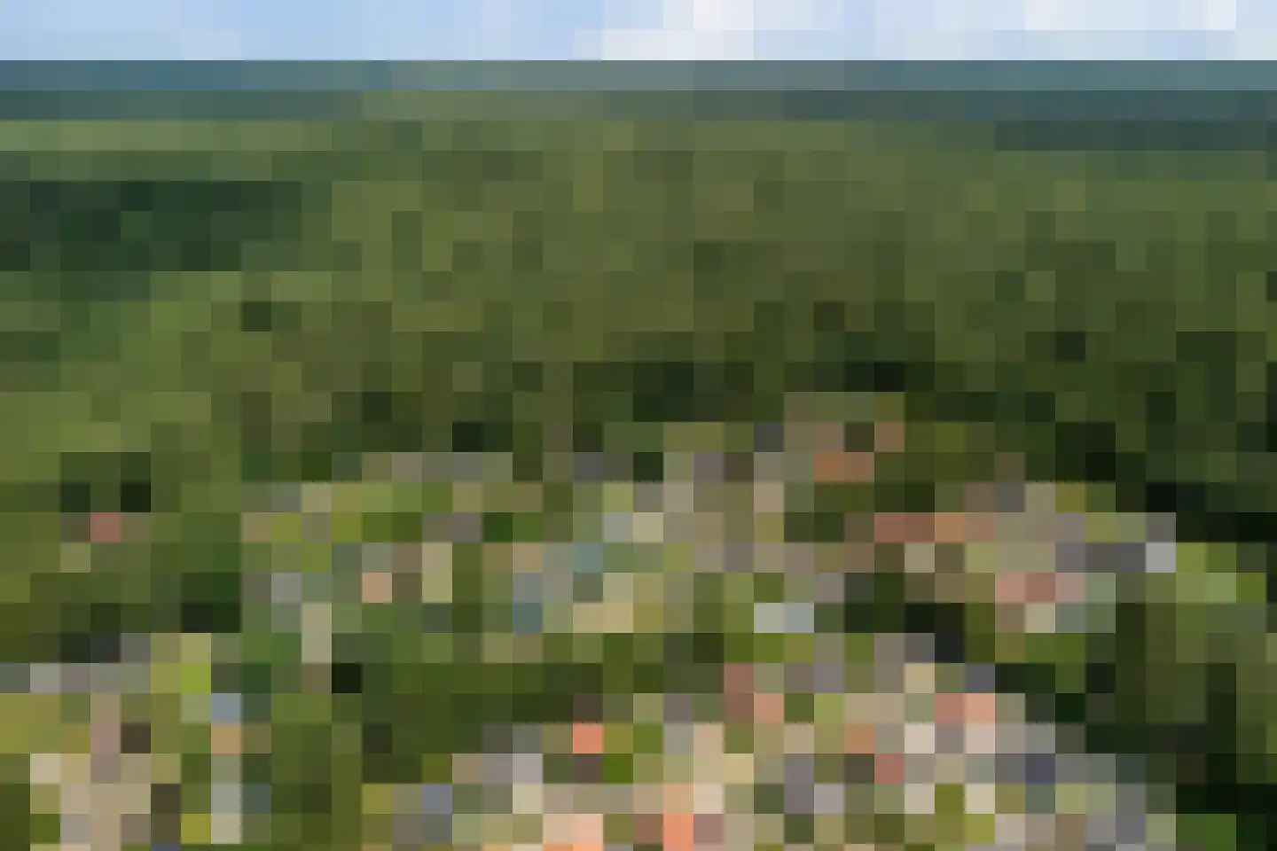 Nieuwe Prinsenweg 7 41 Putten thumbnail 30
