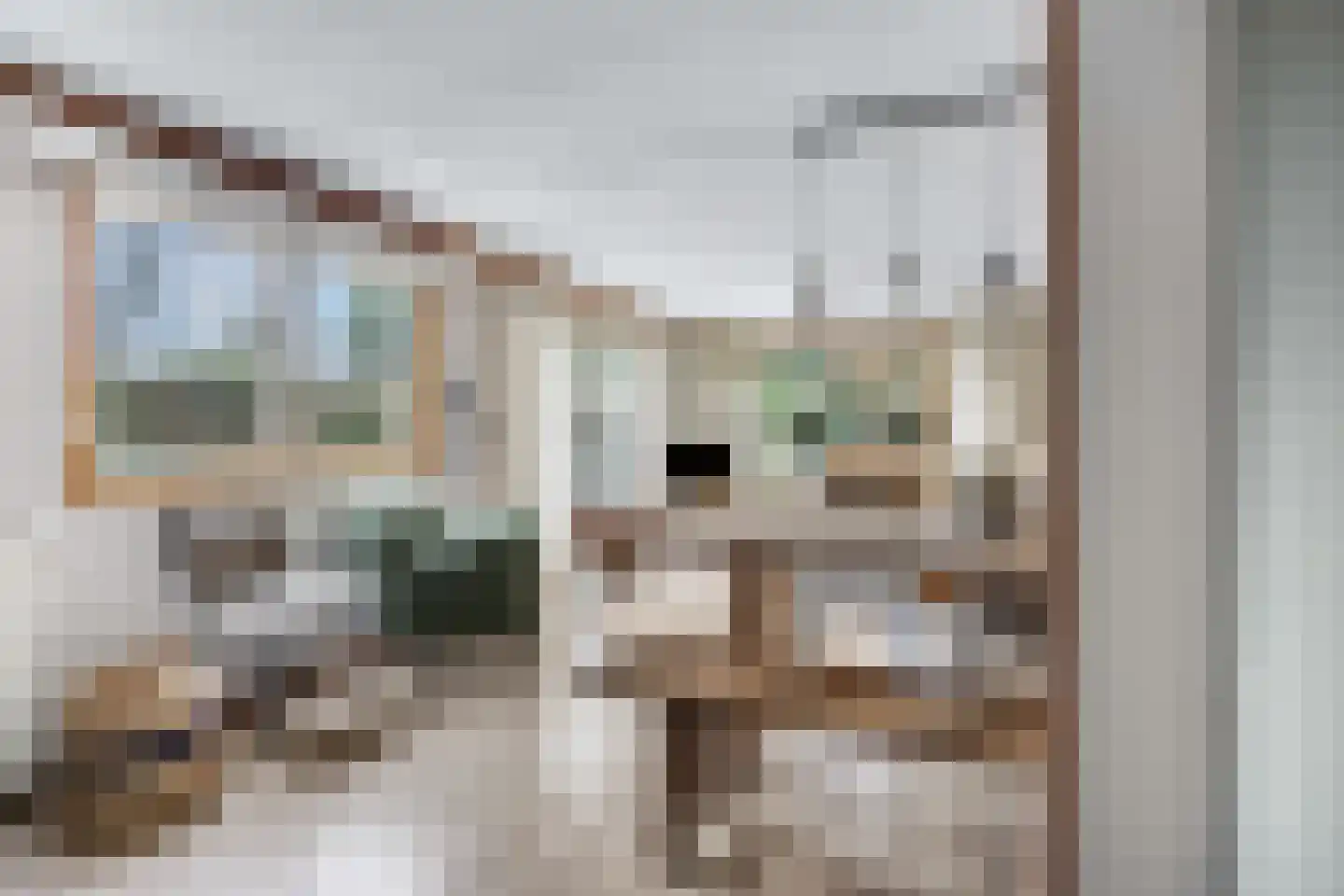 Nieuwe Prinsenweg 7 43 Putten thumbnail 12
