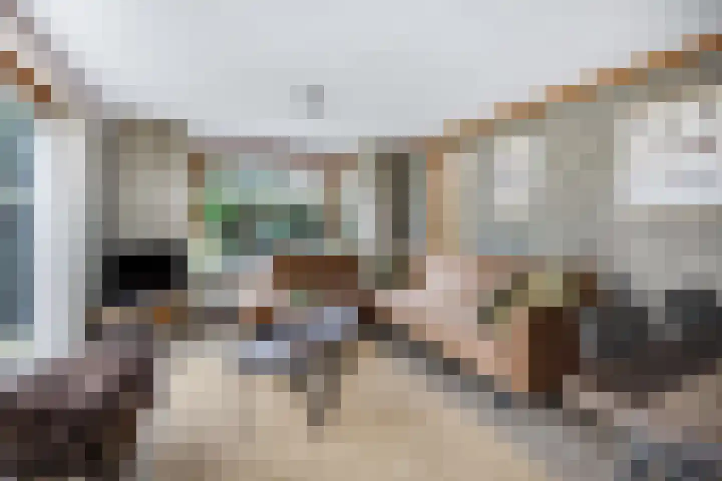 Nieuwe Prinsenweg 7 43 Putten thumbnail 13