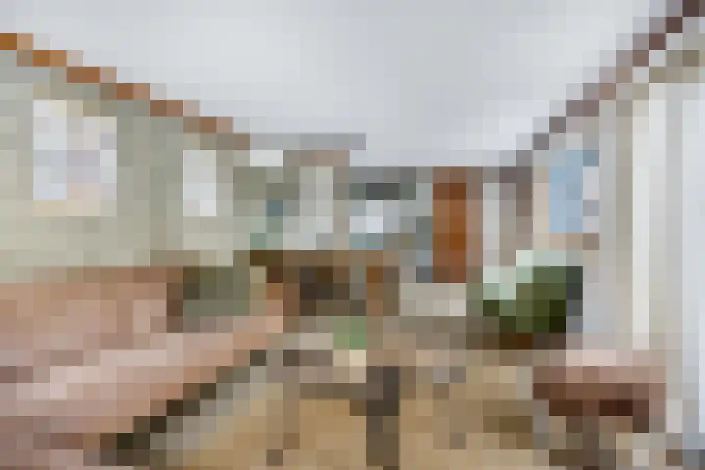 Nieuwe Prinsenweg 7 43 Putten thumbnail 14