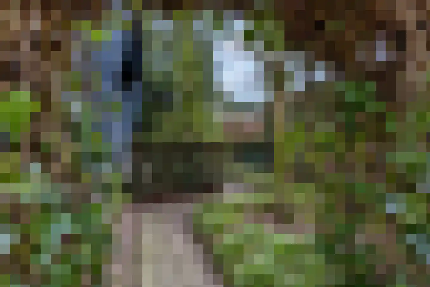 Nieuwe Prinsenweg 7 43 Putten thumbnail 32