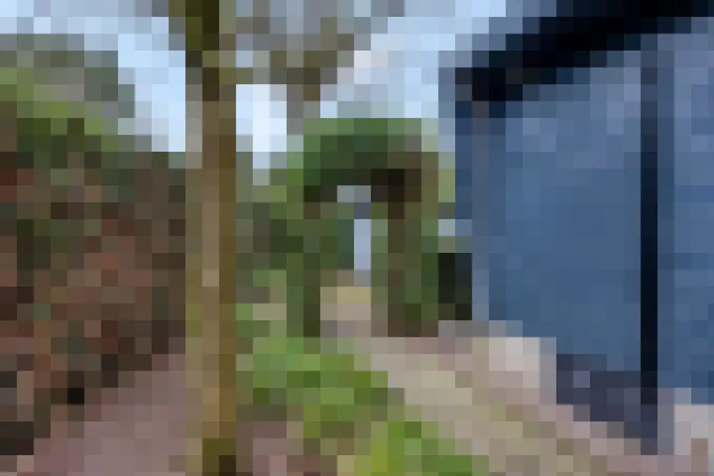 Nieuwe Prinsenweg 7 43 Putten thumbnail 33