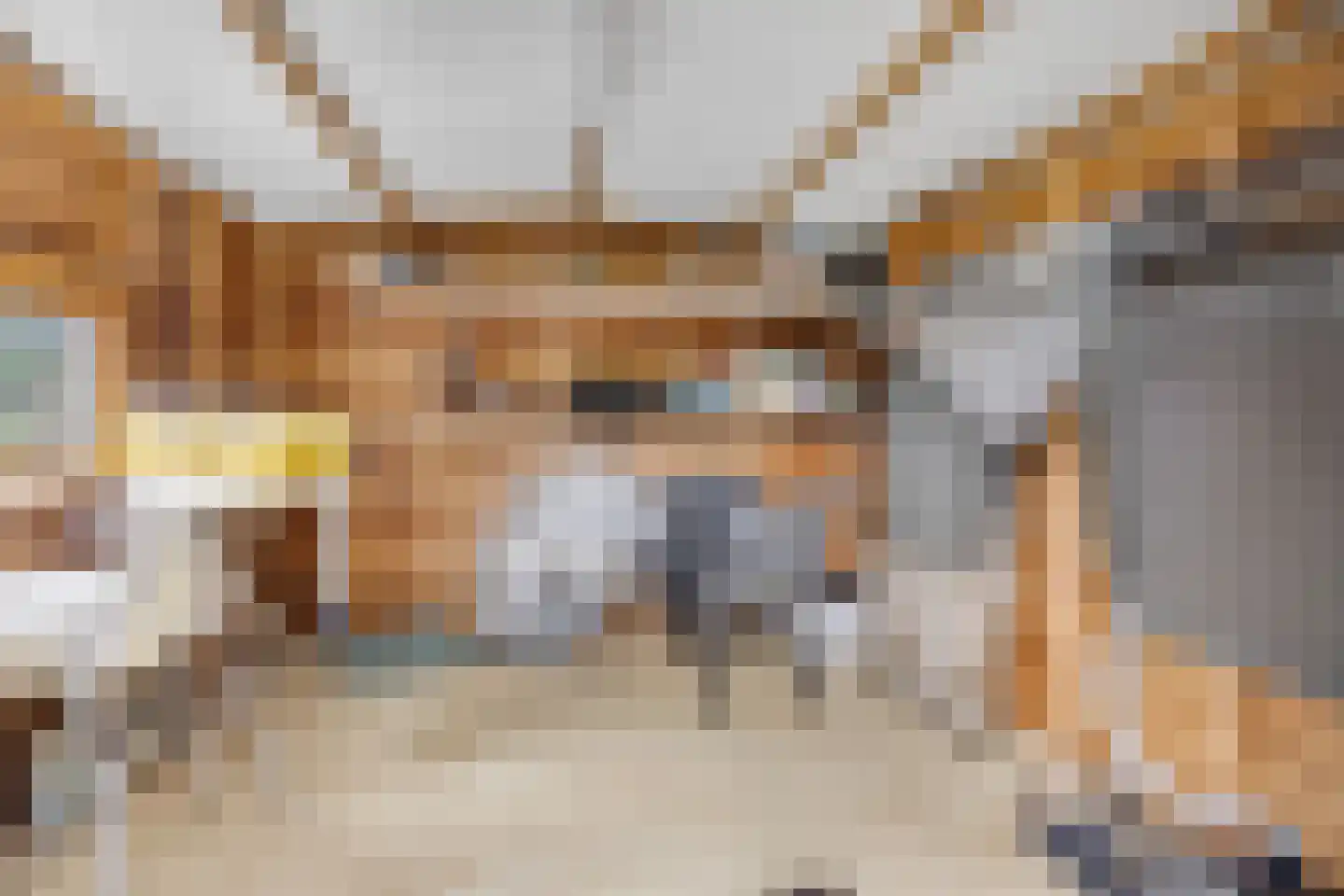 Nieuwe Prinsenweg 7 43 Putten thumbnail 38
