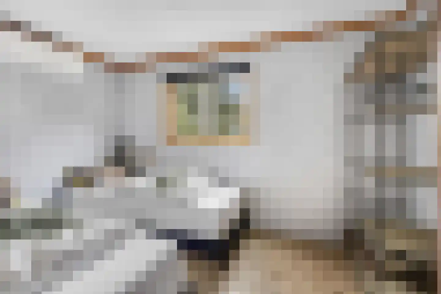 Nieuwe Prinsenweg 7 43 Putten thumbnail 4