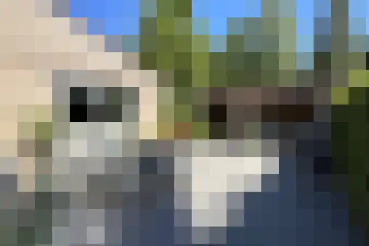 Nieuwe Prinsenweg 7 48 Putten thumbnail 19