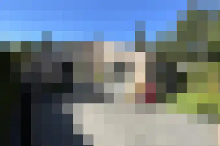 Nieuwe Prinsenweg 7 48 Putten thumbnail 20