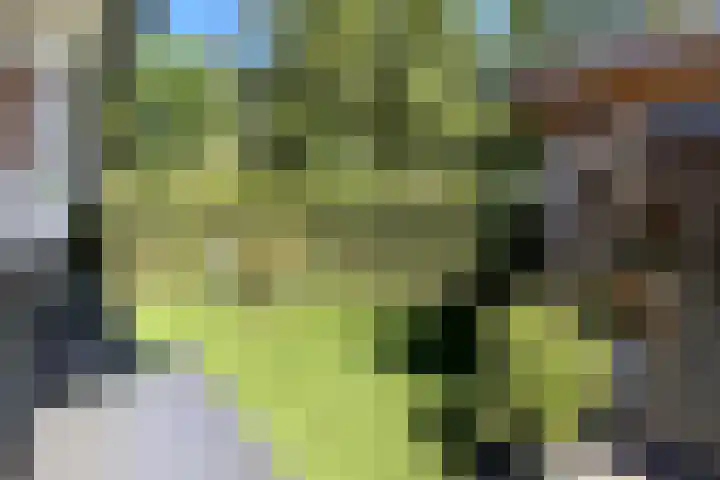 Nieuwe Prinsenweg 7 48 Putten thumbnail 21