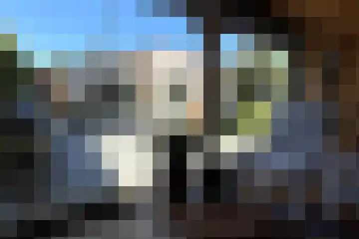 Nieuwe Prinsenweg 7 48 Putten thumbnail 26