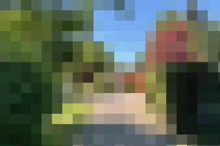 Nieuwe Prinsenweg 7 48 Putten thumbnail 27