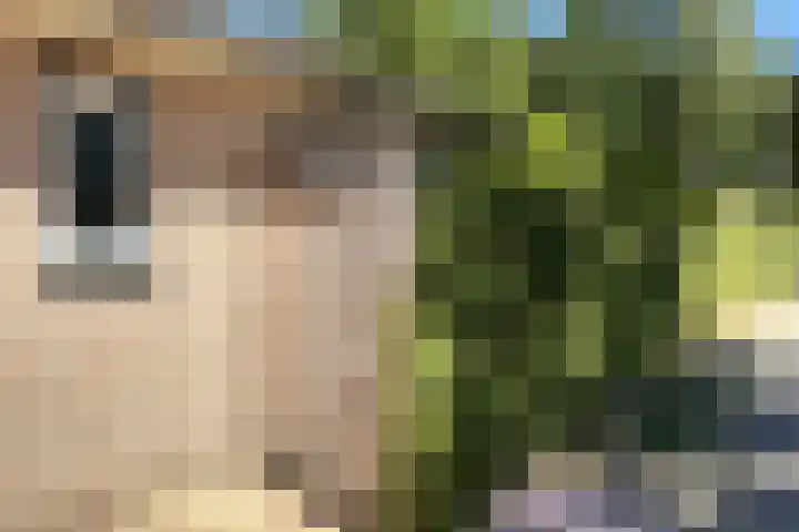 Nieuwe Prinsenweg 7 48 Putten thumbnail 28