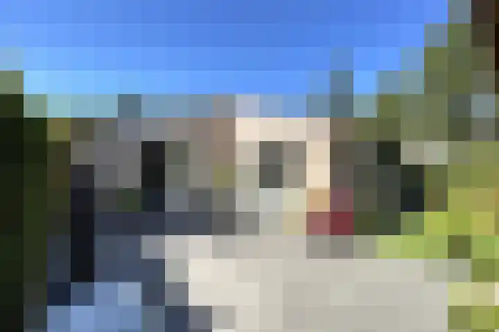 Nieuwe Prinsenweg 7 48 Putten thumbnail 29