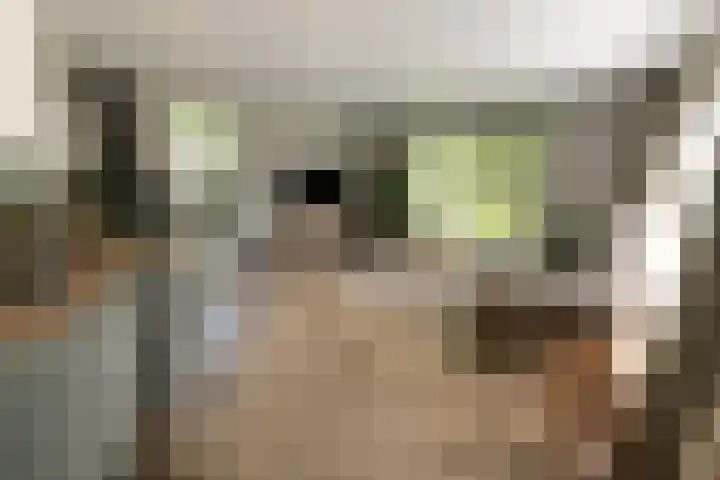 Nieuwe Prinsenweg 7 48 Putten thumbnail 4