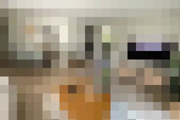 Nieuwe Prinsenweg 7 48 Putten thumbnail 5