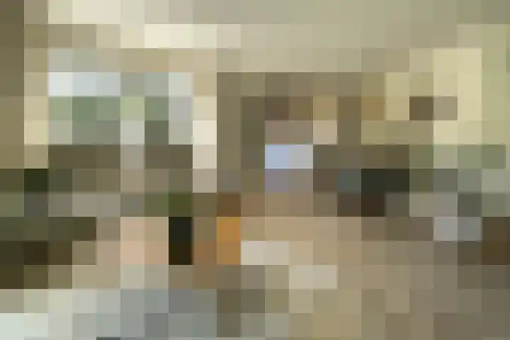 Nieuwe Prinsenweg 7 48 Putten thumbnail 7