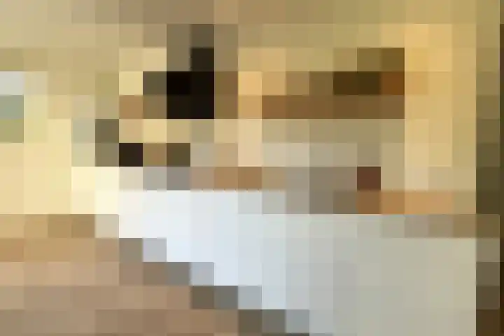 Nieuwe Prinsenweg 7 48 Putten thumbnail 8