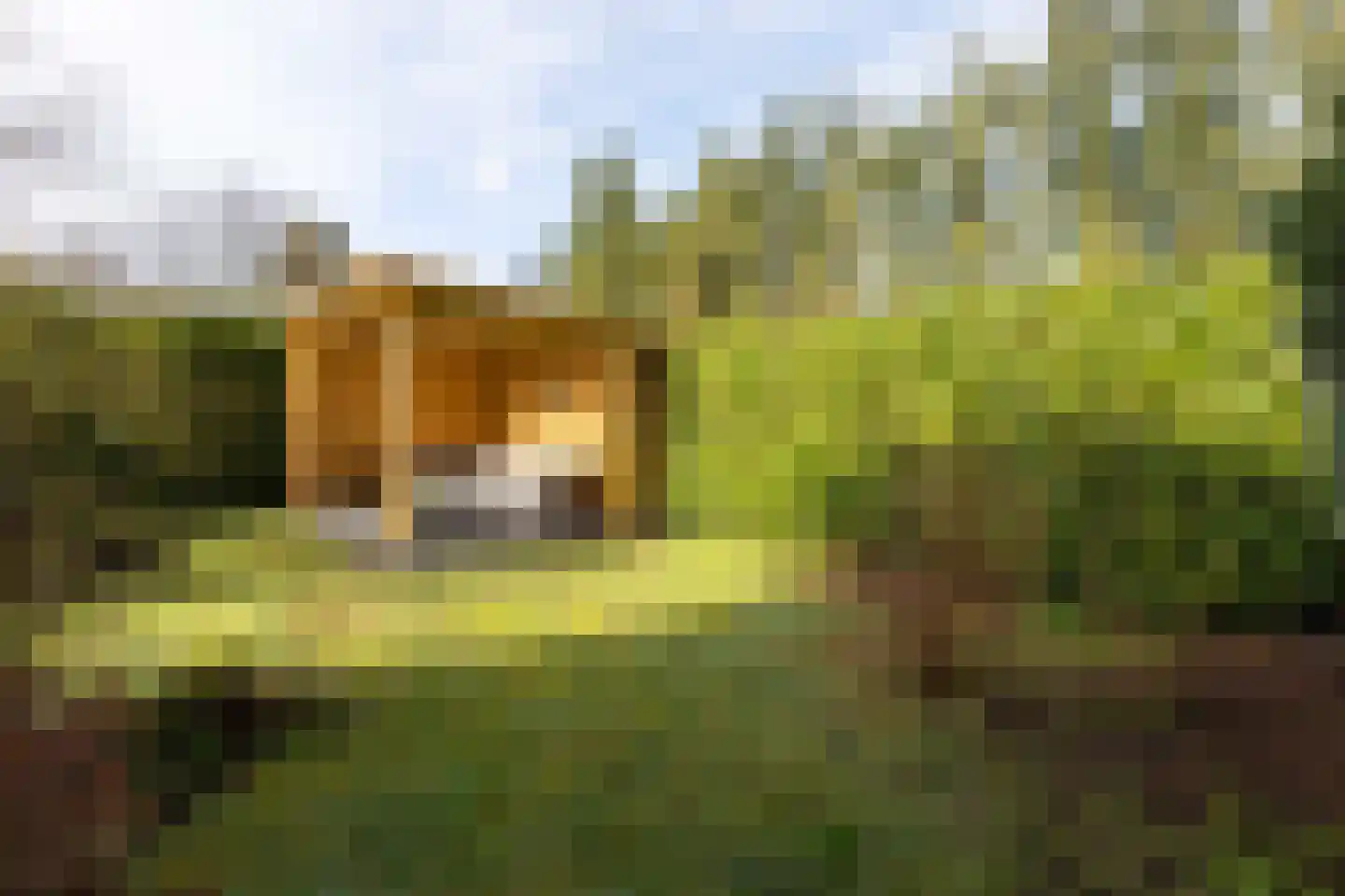 Nieuwe Prinsenweg 7 51 Putten thumbnail 6