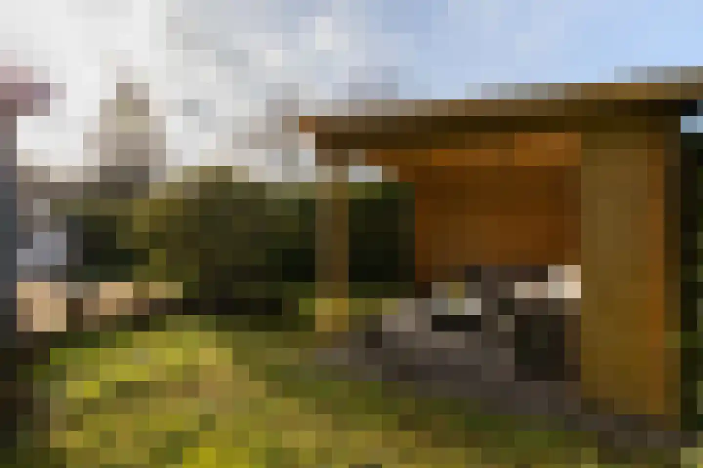 Nieuwe Prinsenweg 7 51 Putten thumbnail 7